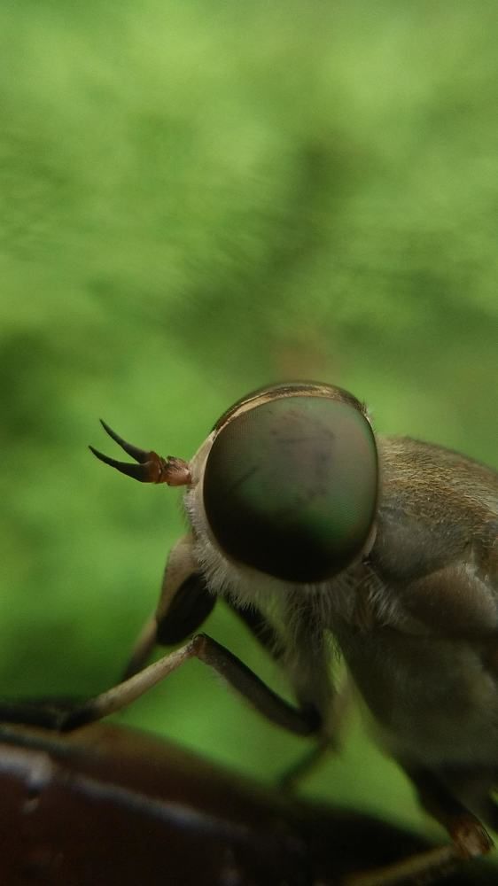 Photograph by Sai Krishna