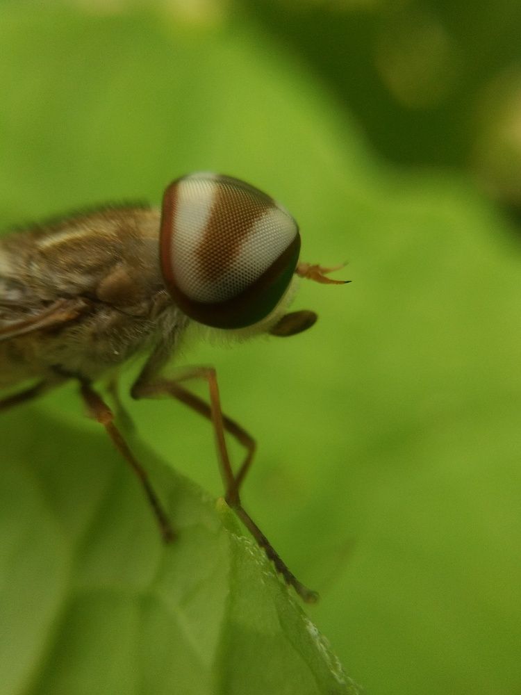 Photograph by Sai Krishna