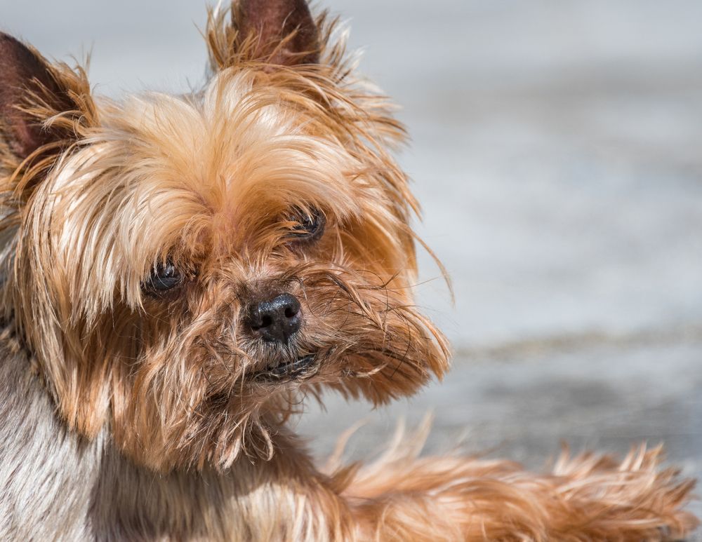 Photograph by Курлянцев Алексей