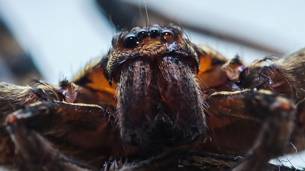 Photograph by sem morni