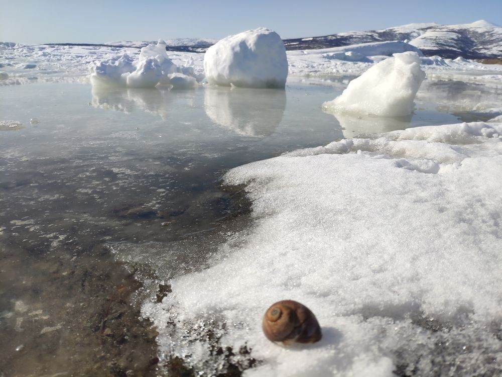 Photograph by Лидия Коршкова