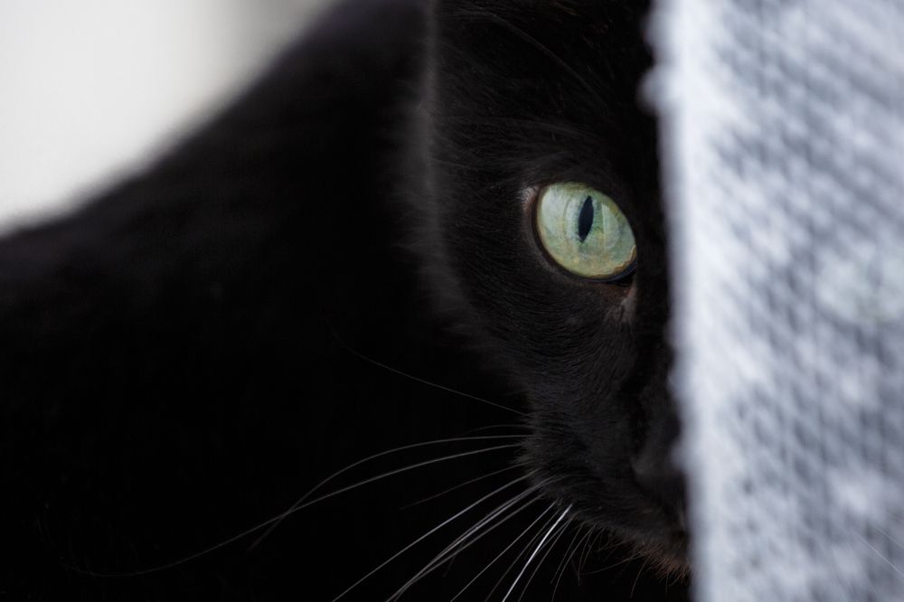 Photograph by Владимир Бессолицын