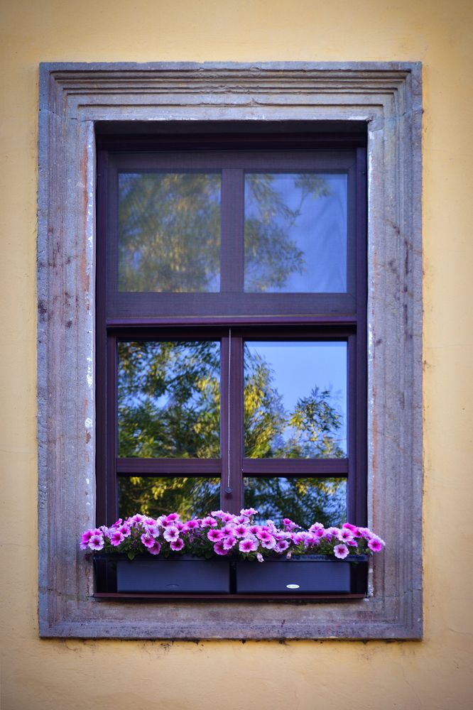 Photograph by Attila Mező