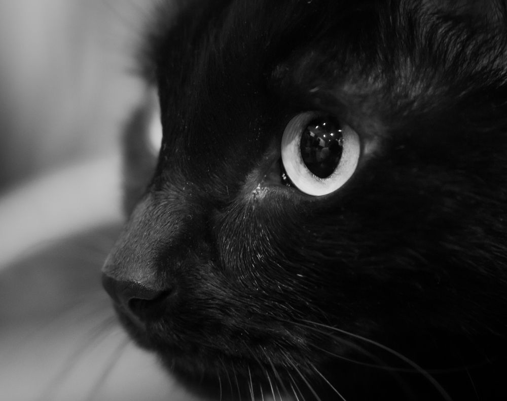 Photograph by Владимир Бессолицын