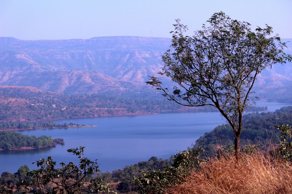 Photograph by suresh sakpal