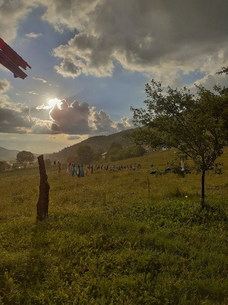 Фотография автора Milan Stipanovic