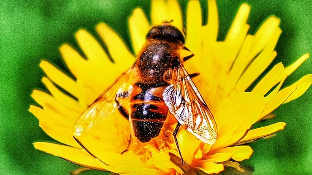 Photograph by Carlos Aguilar