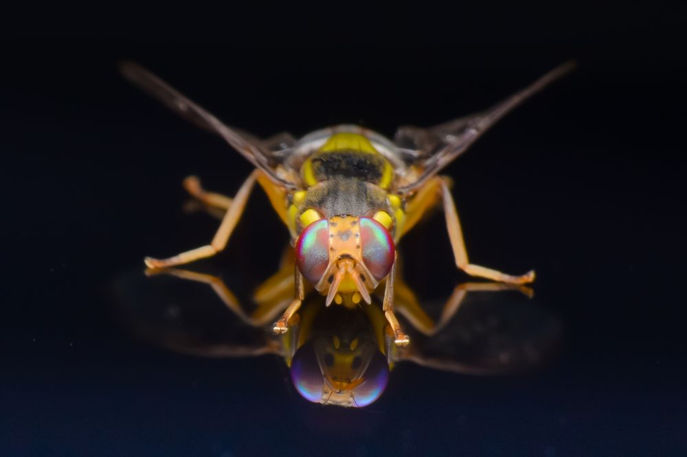 Photograph by Zayar Htut