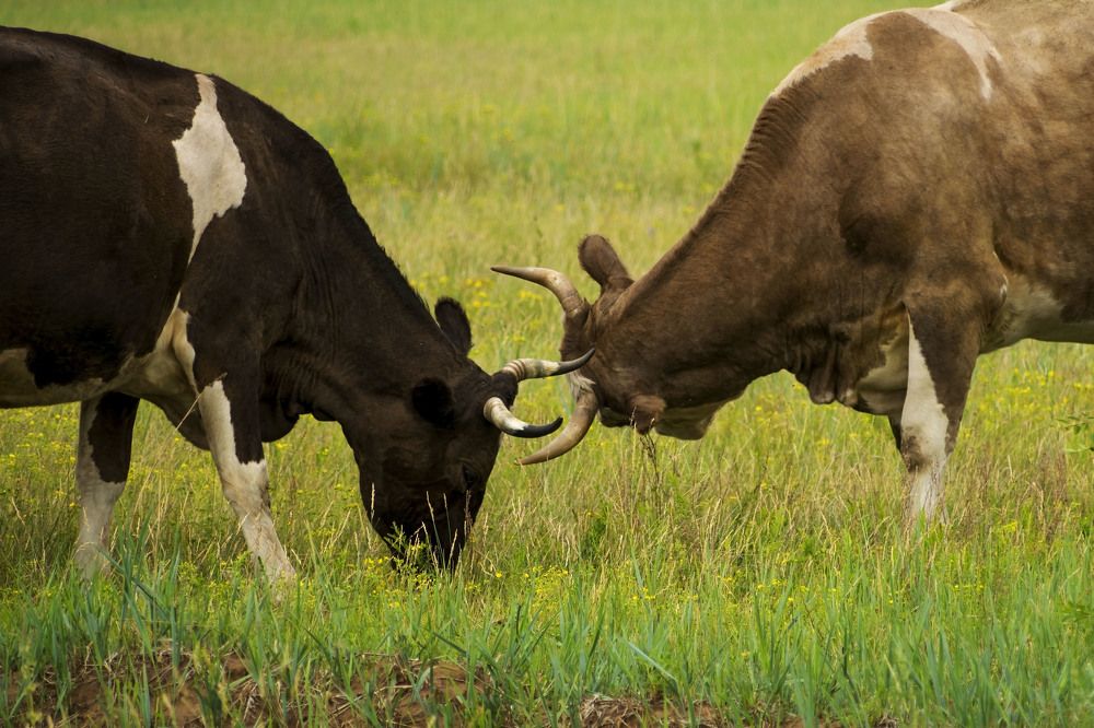 Photograph by Сергей