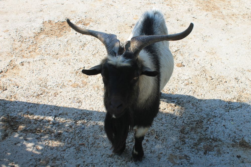 Photograph by Денис Птюшкин