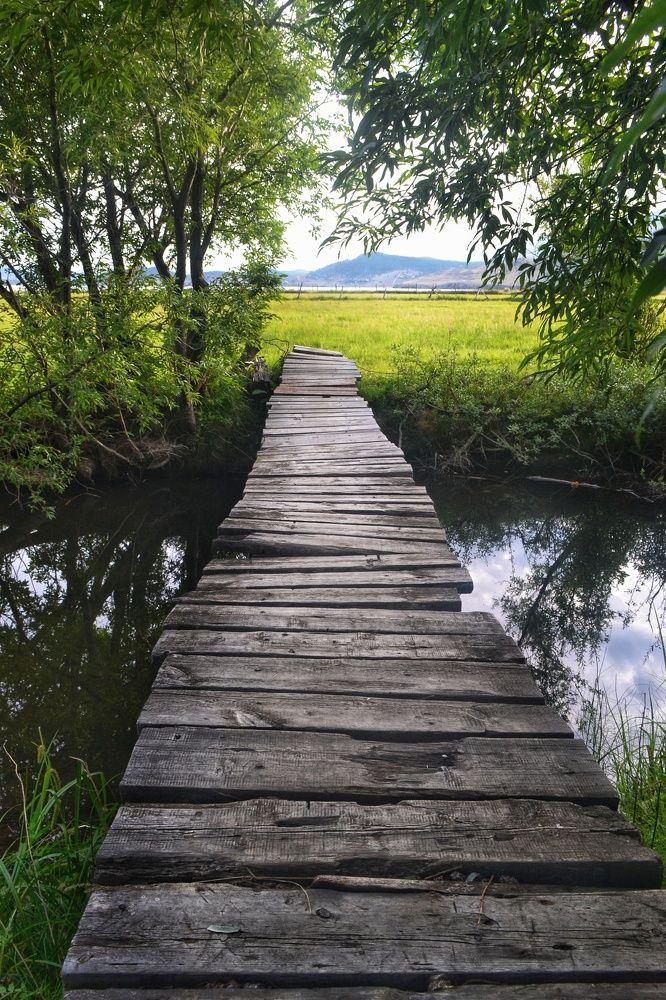 Photograph by Мари Стабровская