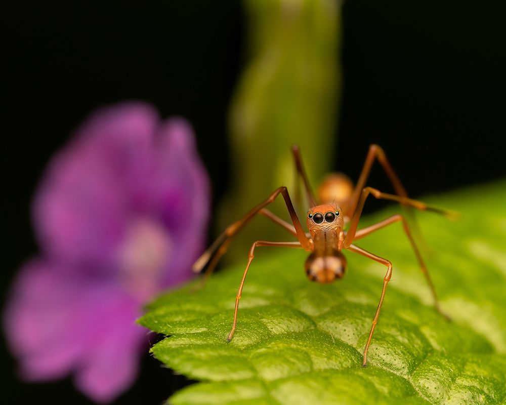 Photograph by Mridula S