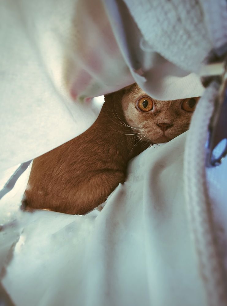 Photograph by Максим Пинчук