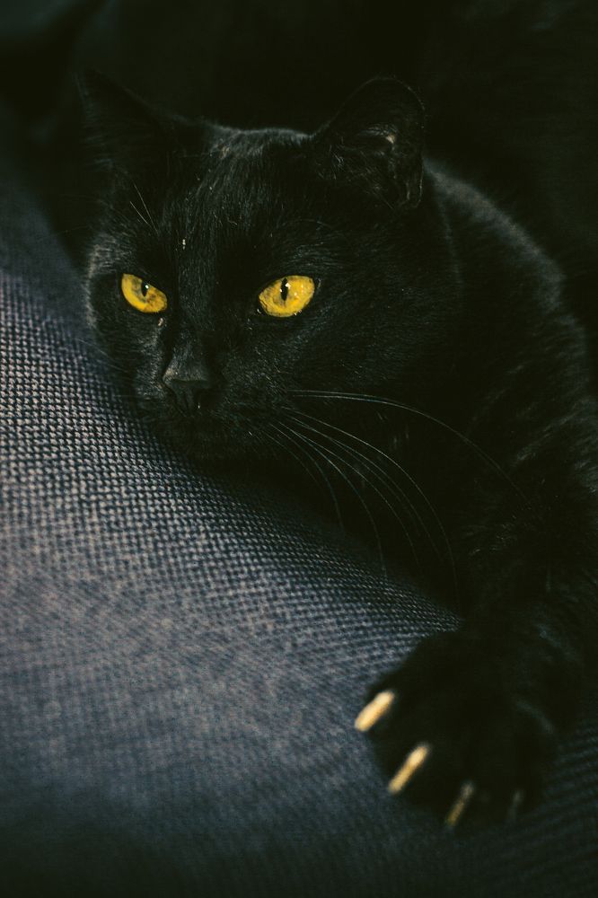 Photograph by Дмитрий Тимофеев