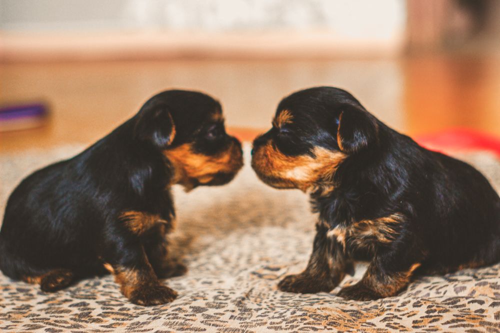 Photograph by Дмитрий Тимофеев