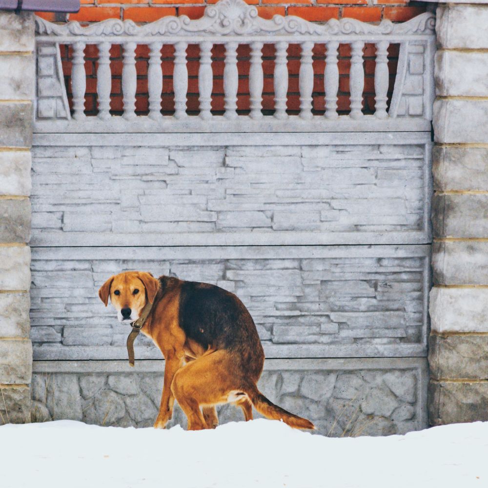 Photograph by Дмитрий Тимофеев