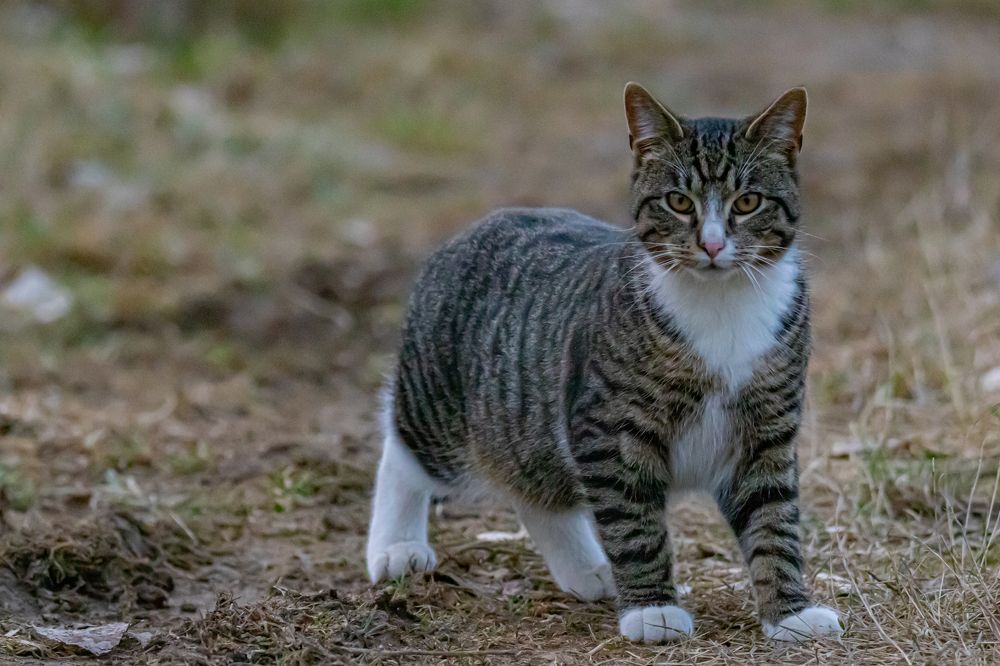 Photograph by Ellen Lichtenheldt