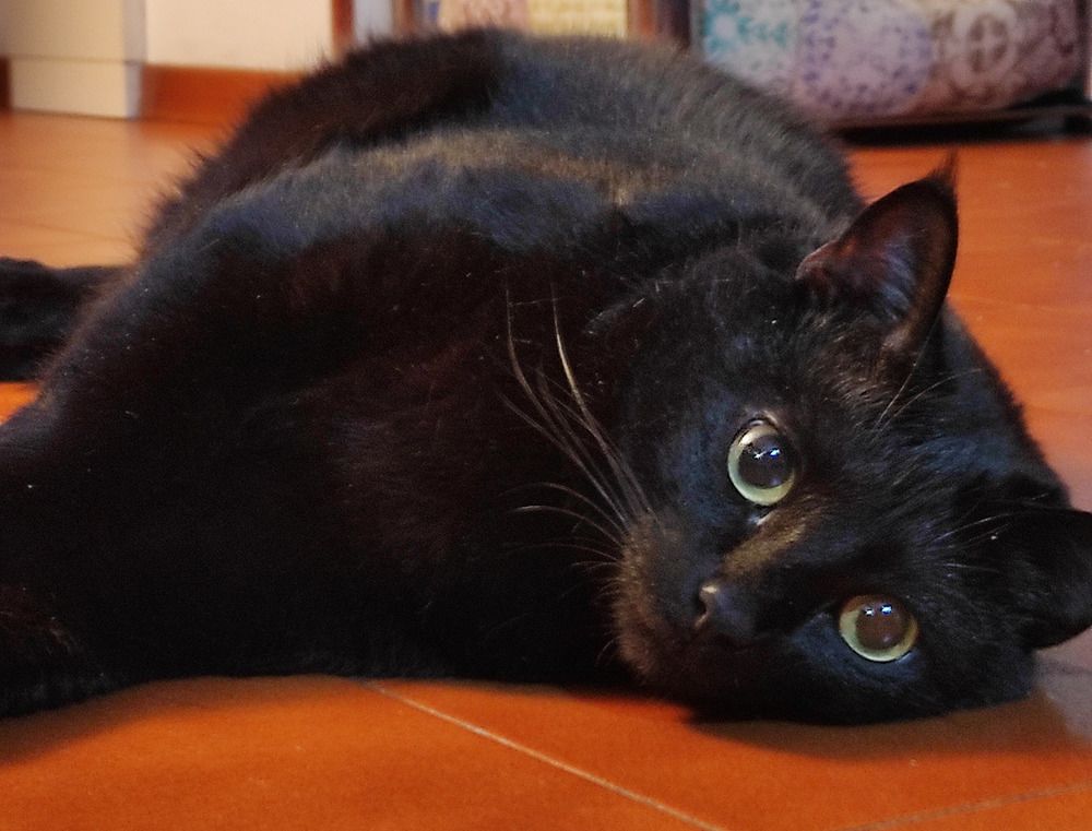 Photograph by SIMONE CIULLI