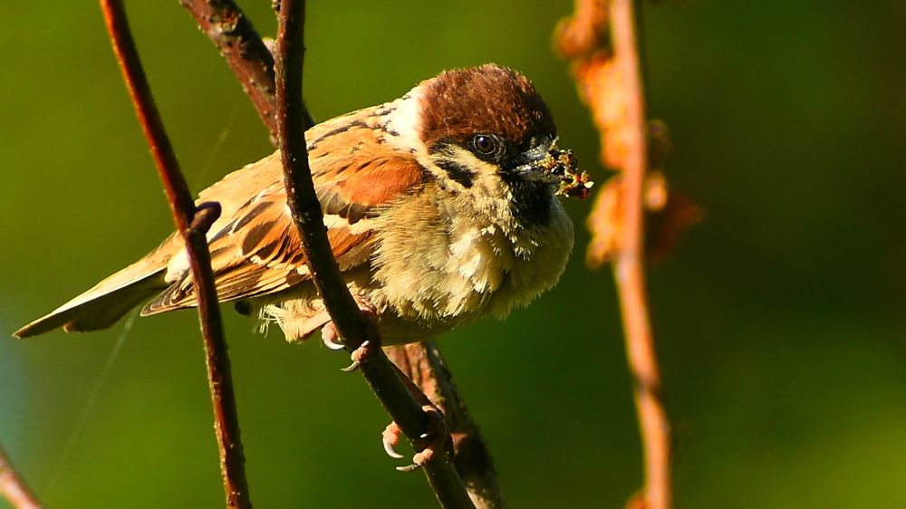 Photograph by Валерий Талейко