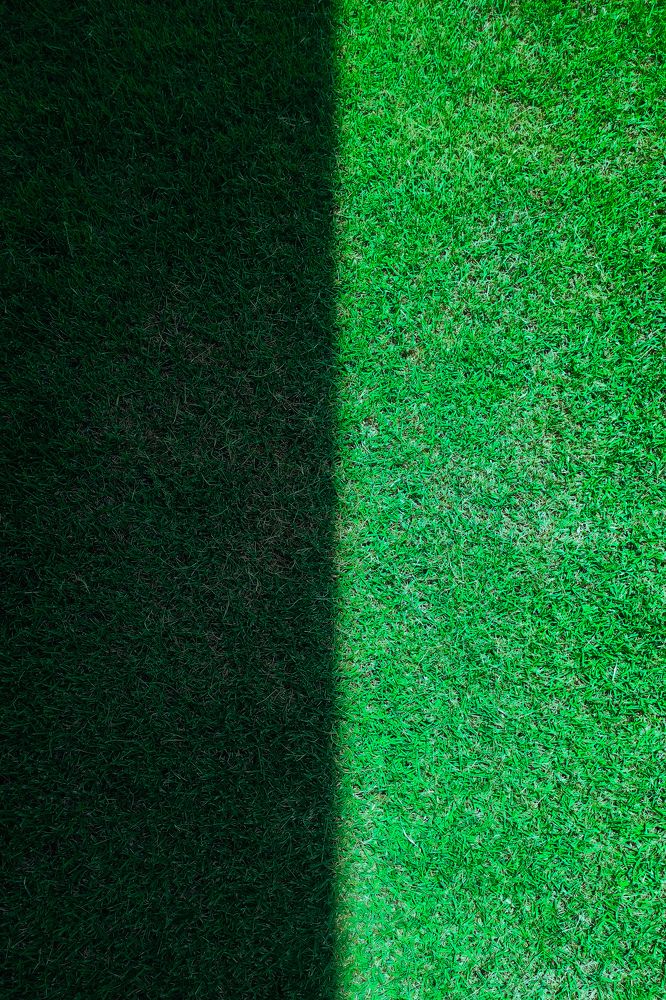 Light and Dark
