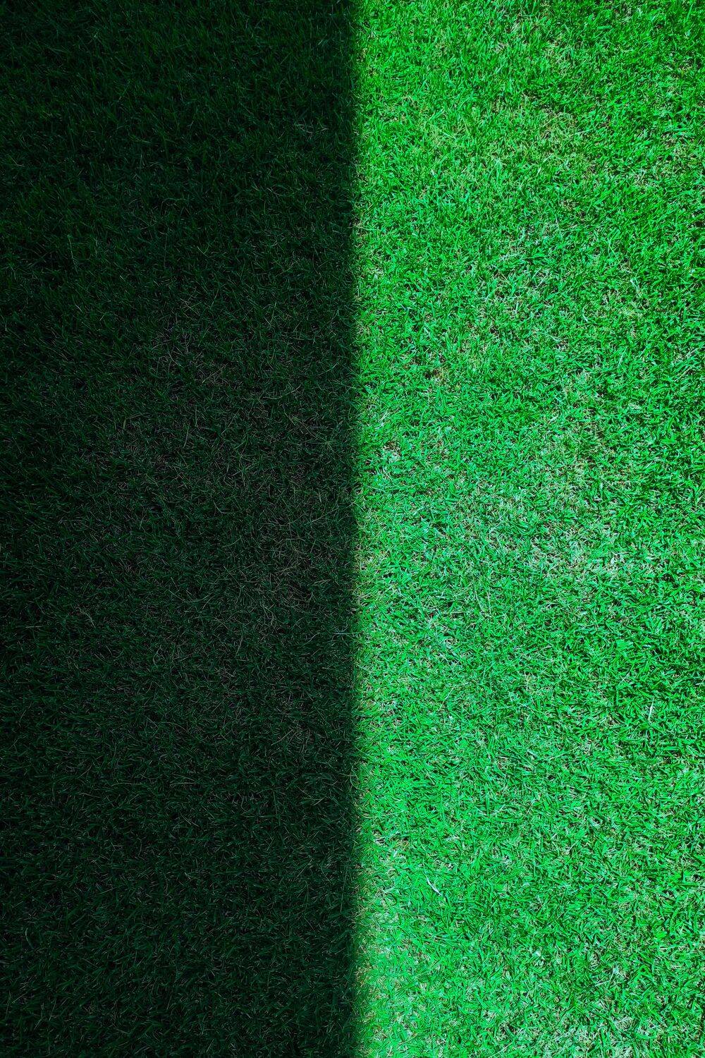 Light and Dark