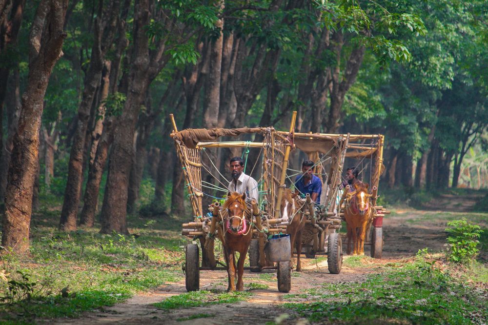 Photograph by Khalid Redwan Tariq