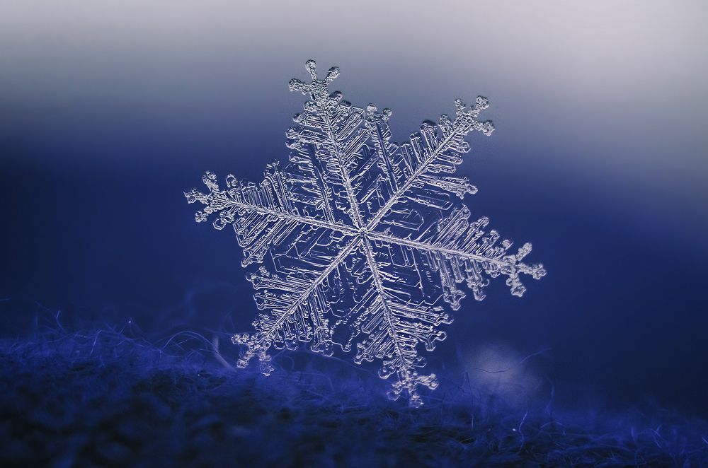 Blue snowflake