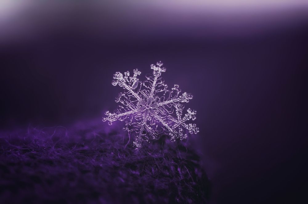 Violet snowflake