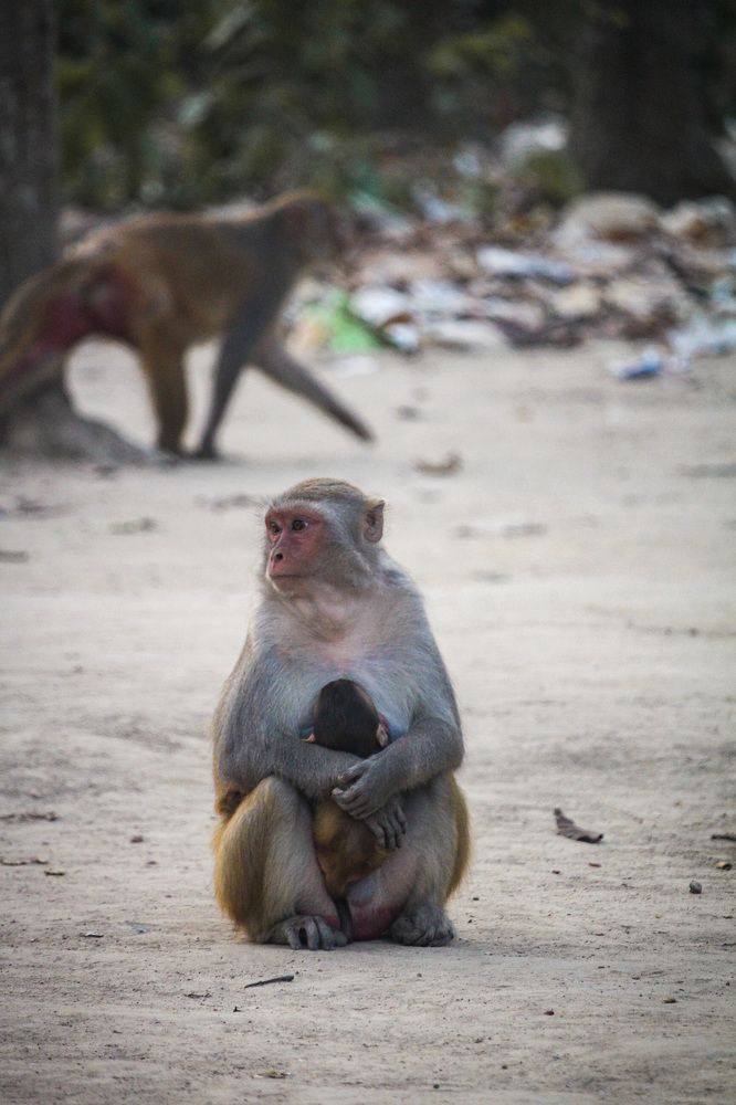 Photograph by Khalid Redwan Tariq