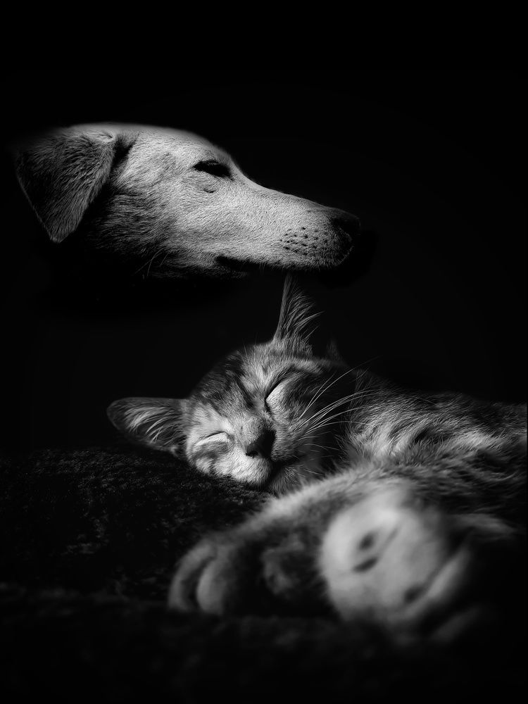 Photograph by sagar pavale