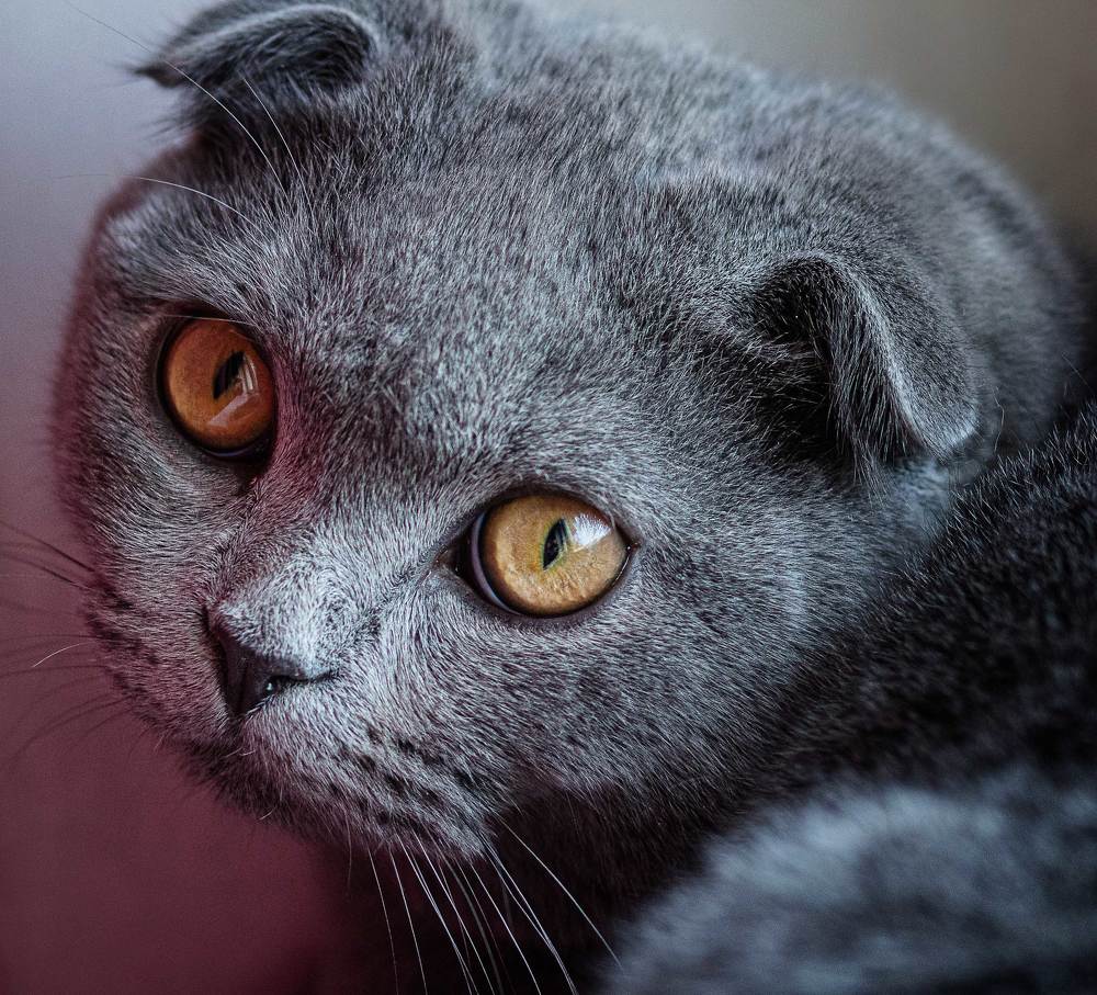 Photograph by Басалаев Евгений