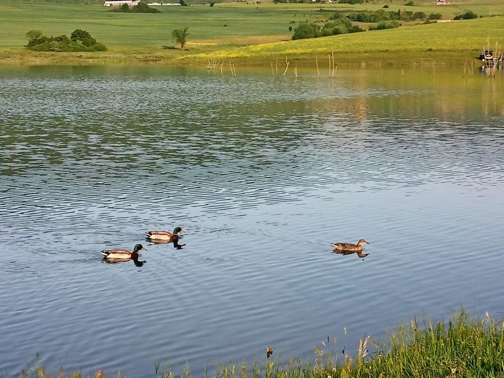 Фотография автора Stoyan Blagoev