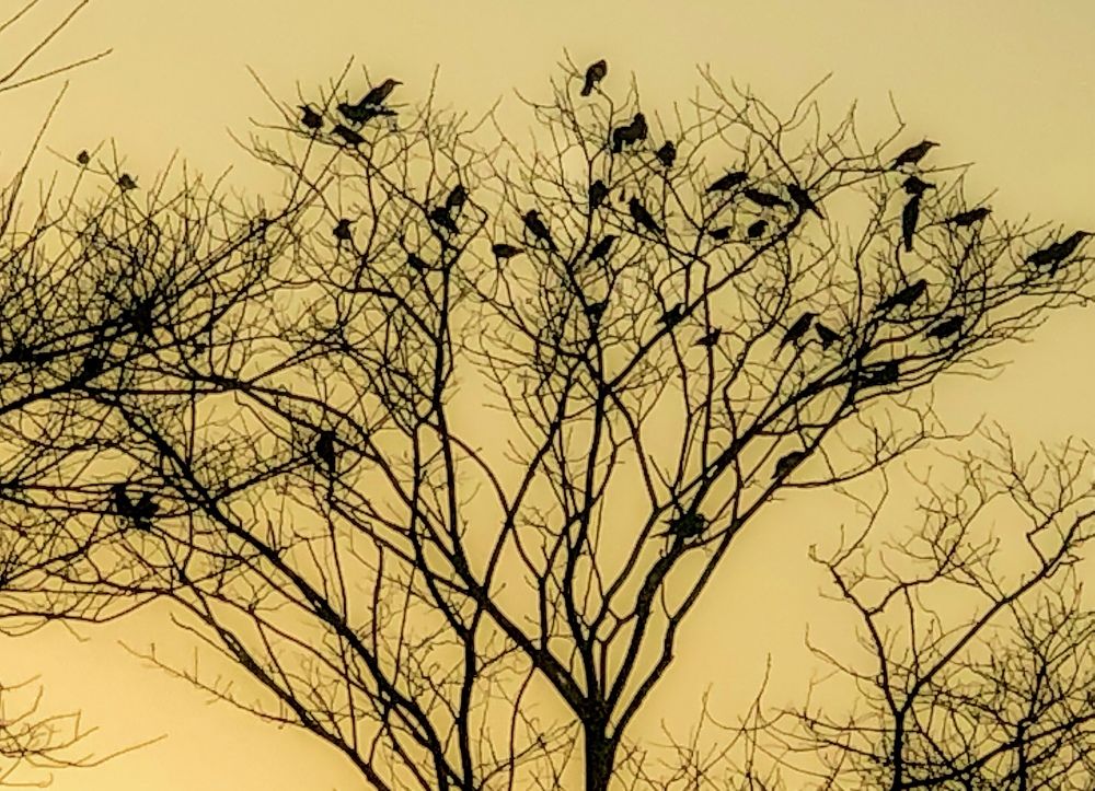 Photograph by Jahaan Gard