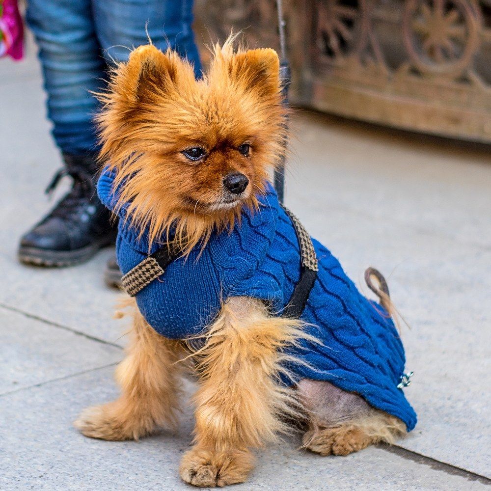 Photograph by Владимир Осипов