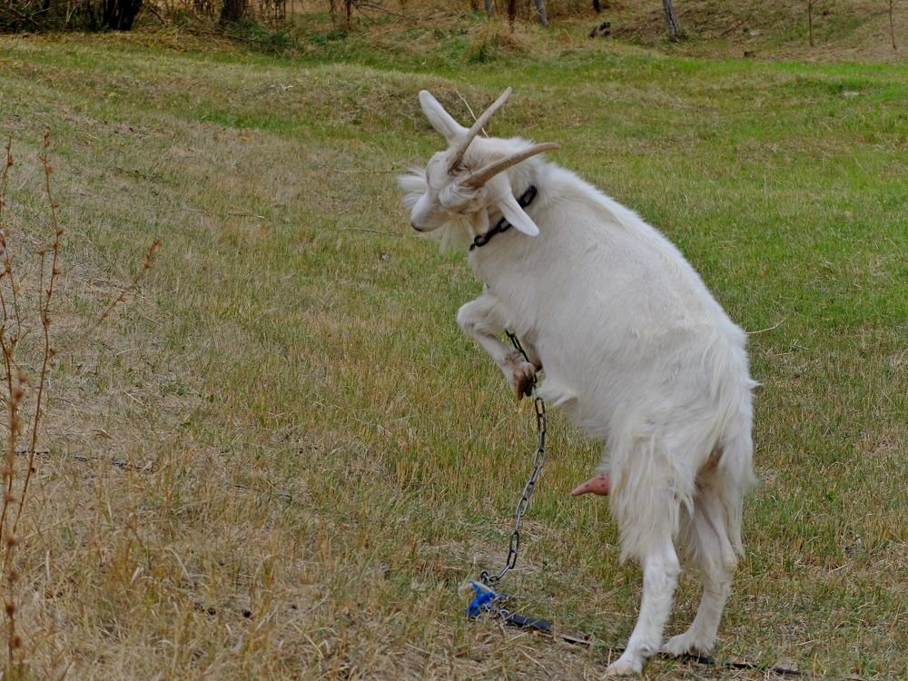 Photograph by ,Бурова Лариса