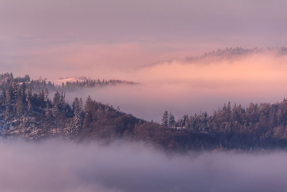Photograph by Bartłomiej Polak