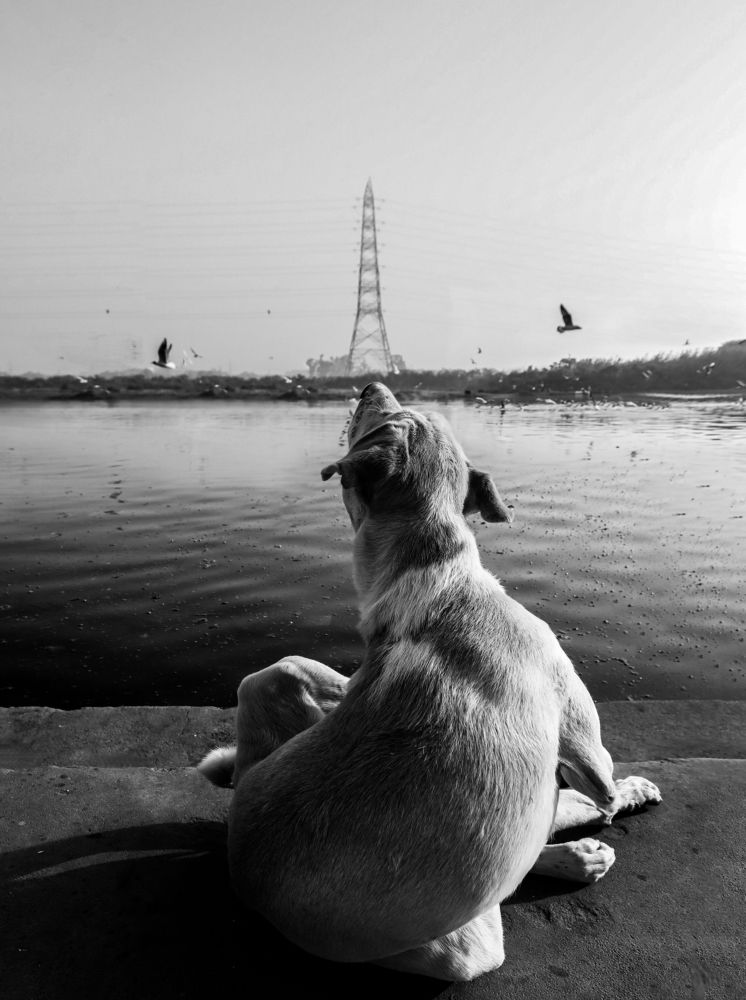 Фотография автора Shanu Sherief