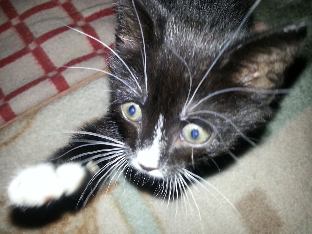 Photograph by Ирина Трембач