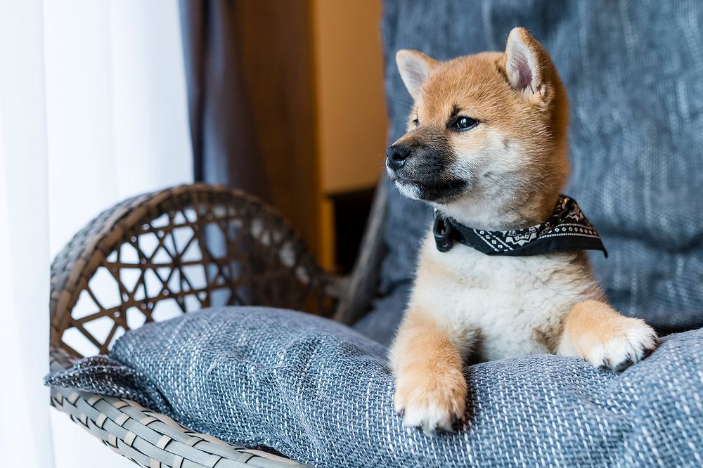 Photograph by Александр Абросимов