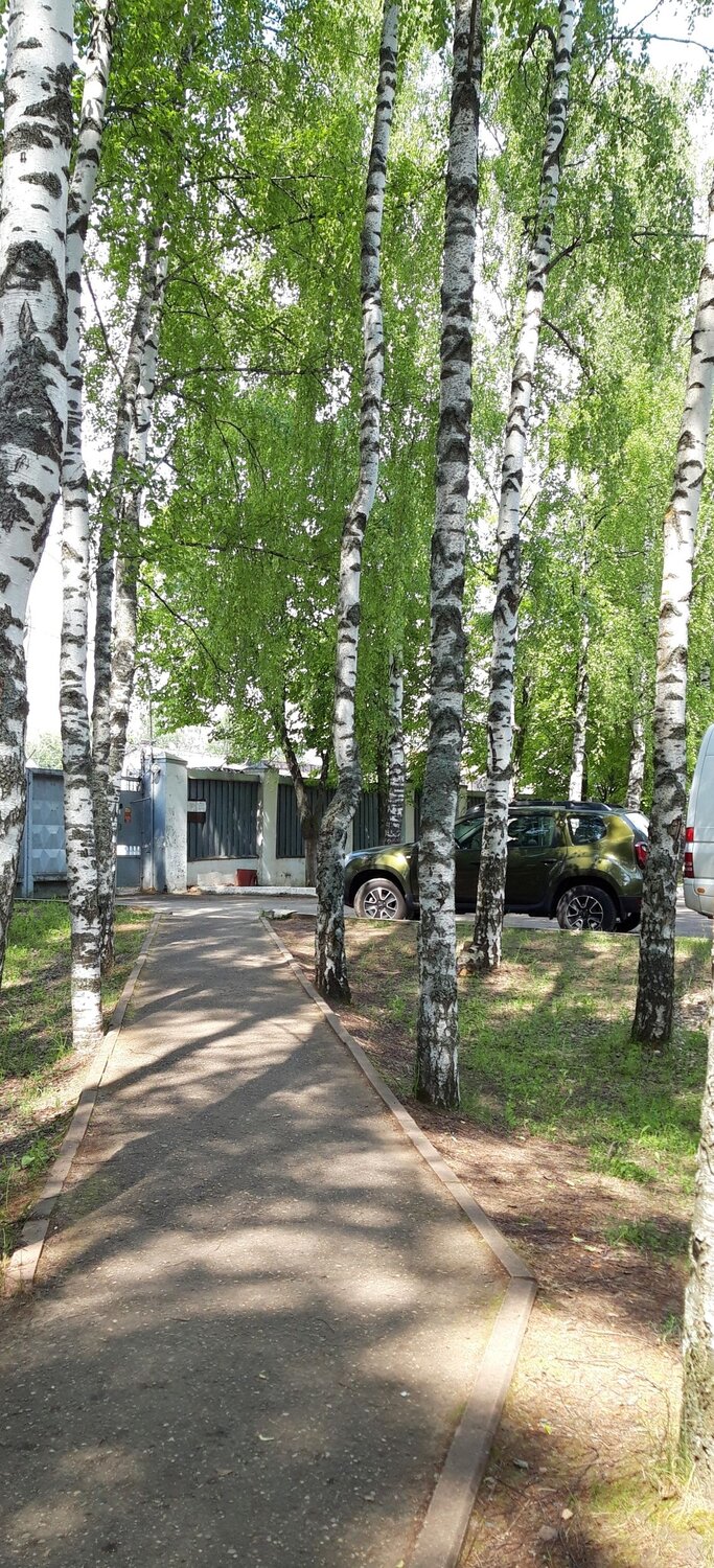 Photo #6197720