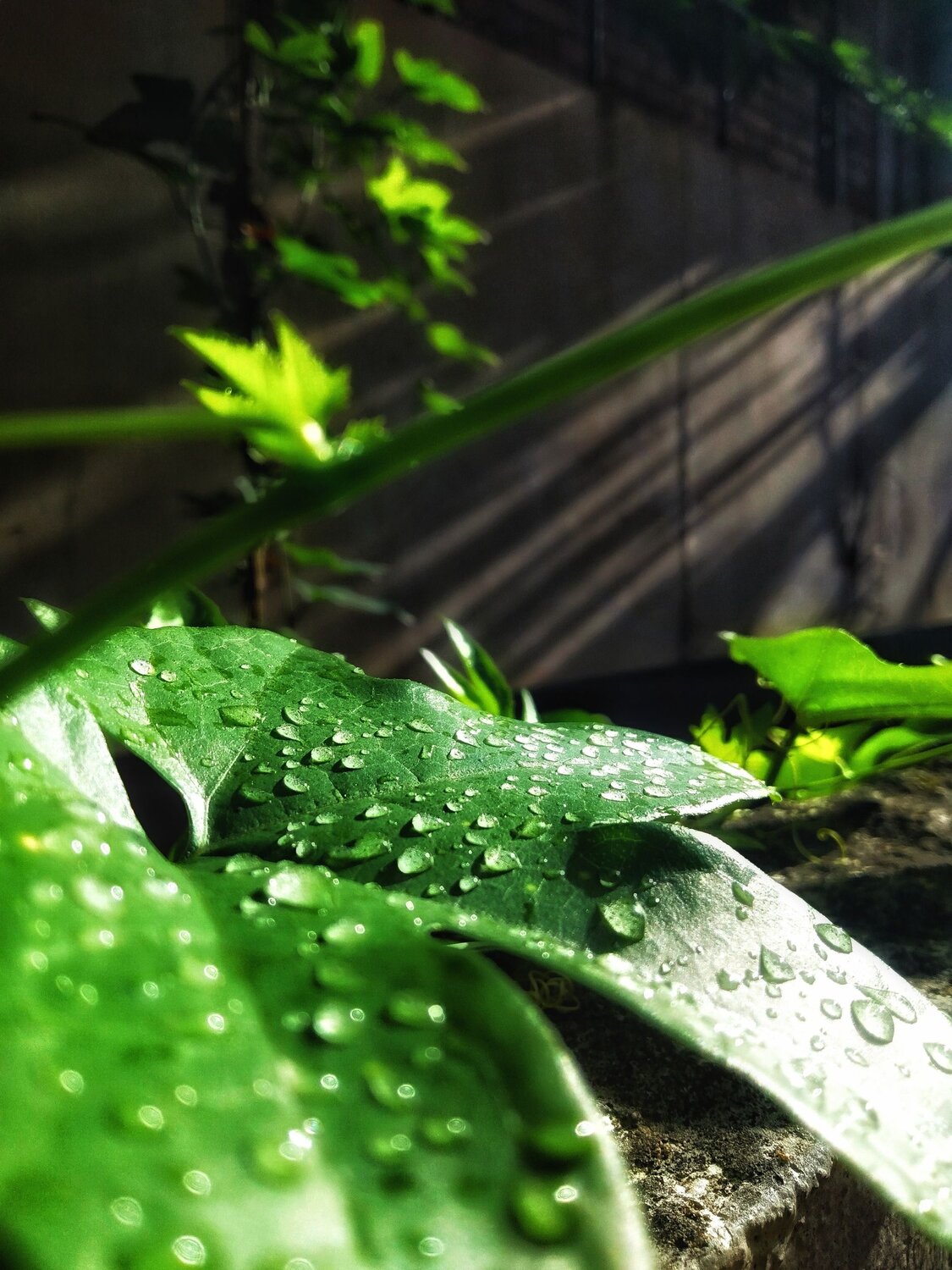 Photo #6197747