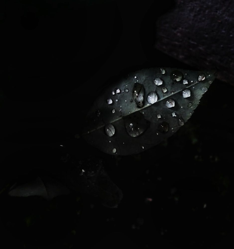 Photograph by Rakhi S Prakash