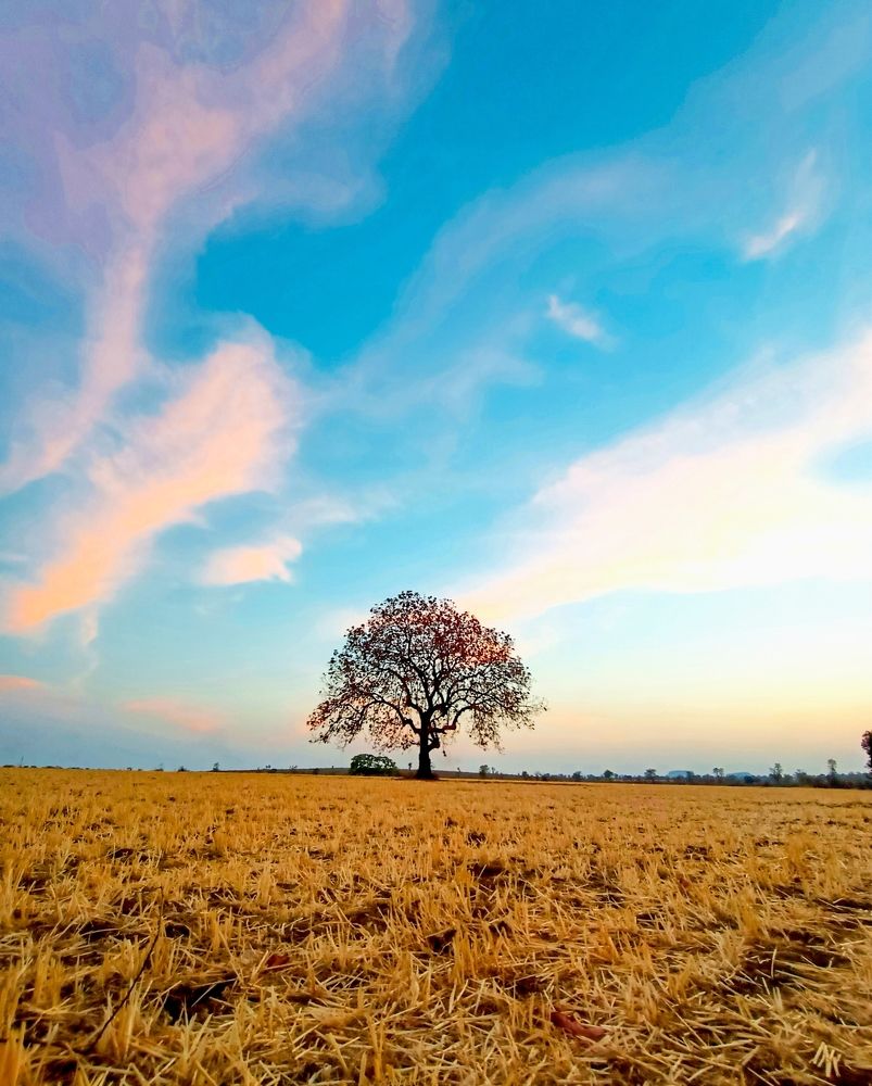 Photograph by Harikresh Choudhary
