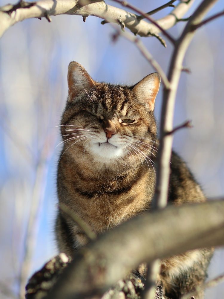 Хороша я??? Хороша!!!