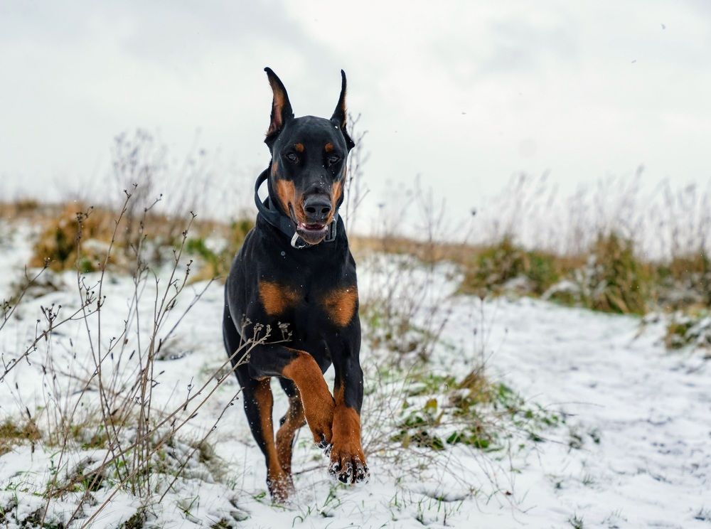 Photograph by Raimondas Zavackis