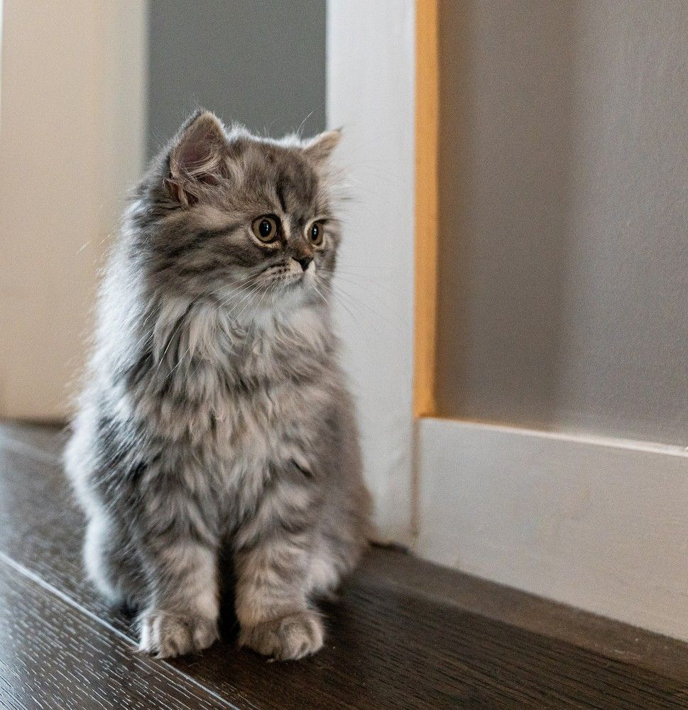 Photograph by Raimondas Zavackis