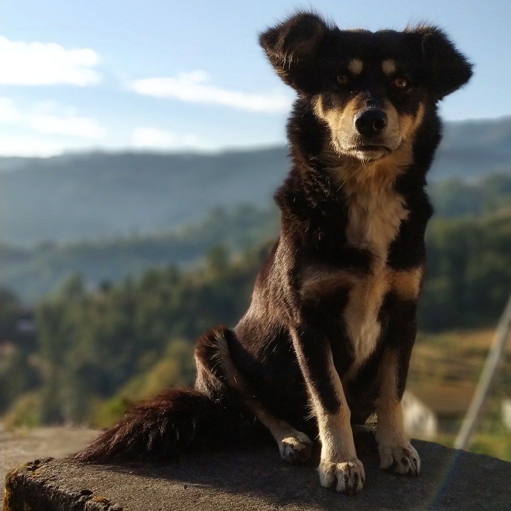 Photograph by AKSHAT DHARMSAKTU