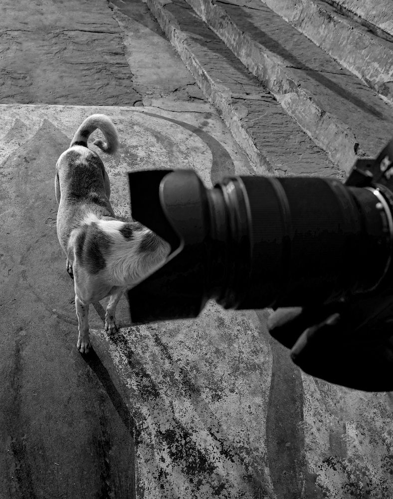 Фотография автора Shanu Sherief