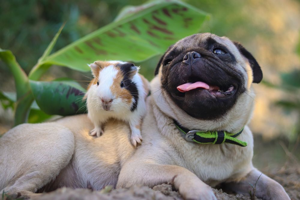 Photograph by Hritik Thackeray