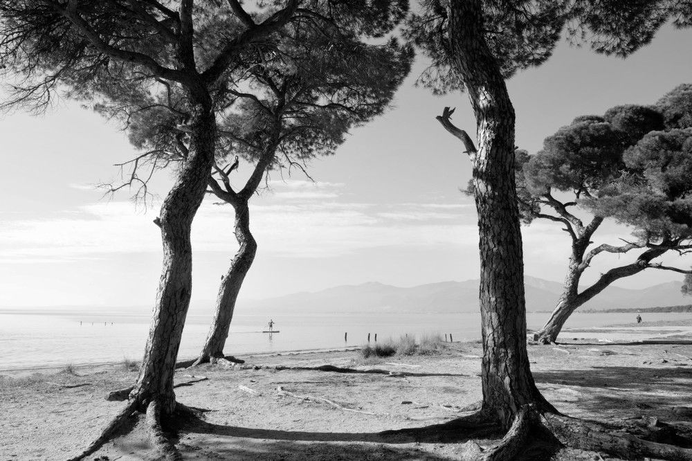 Photograph by FOIVOS Stampoliadis